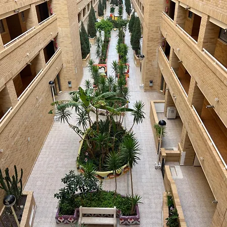 Oropesa Marinador *